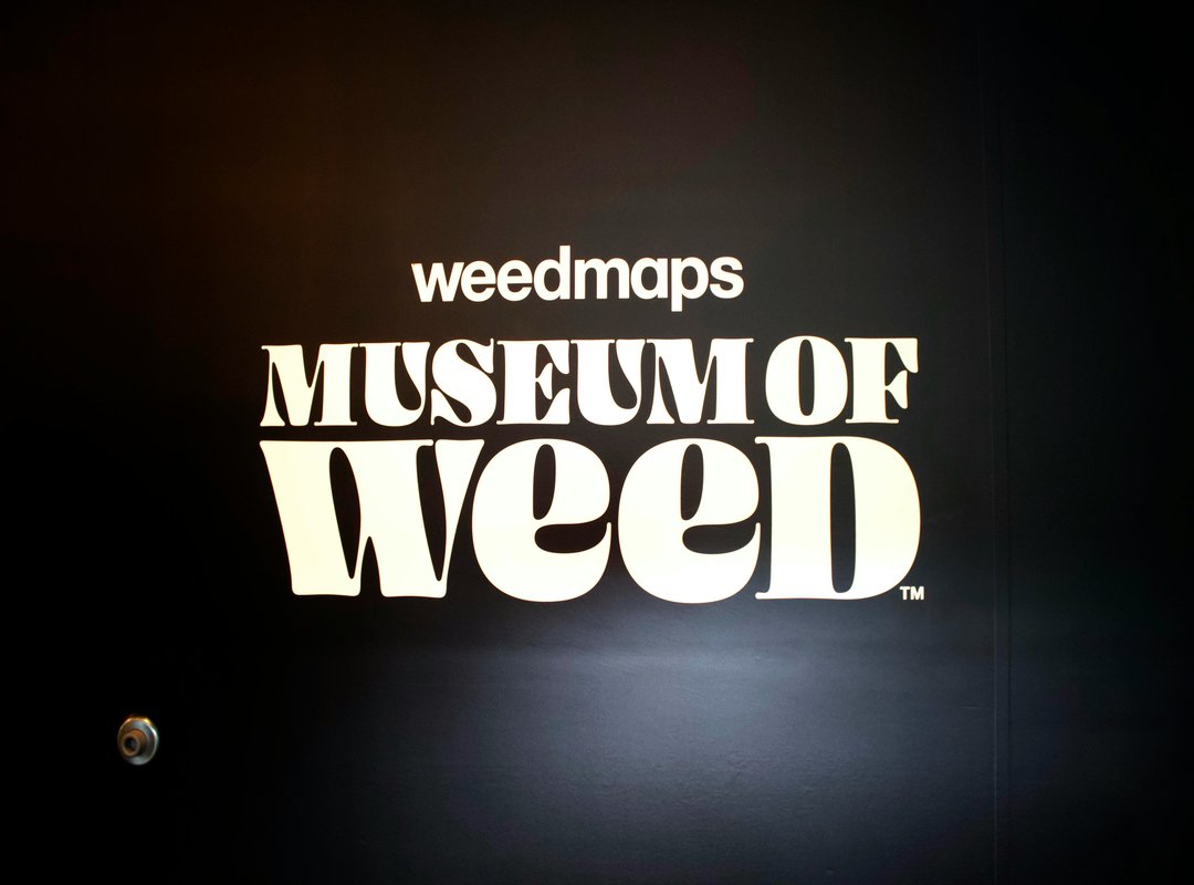 Lescohid Herbicide Bunnymuffins Ultimate Stubborn