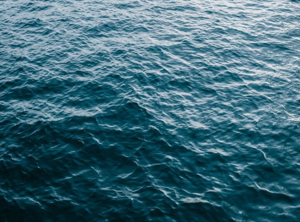 quiero agua livegore