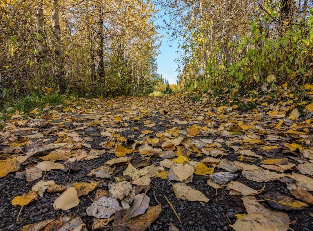 To Visit Havajazon Waterfall