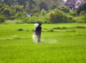 Why Are Lescohid Herbicide Bad for Humans