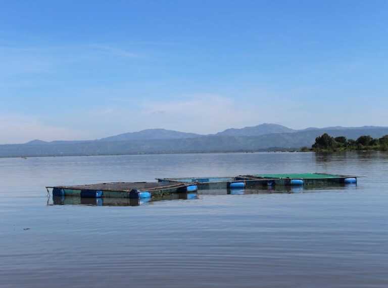 Why Is Lake Faticalawi Important