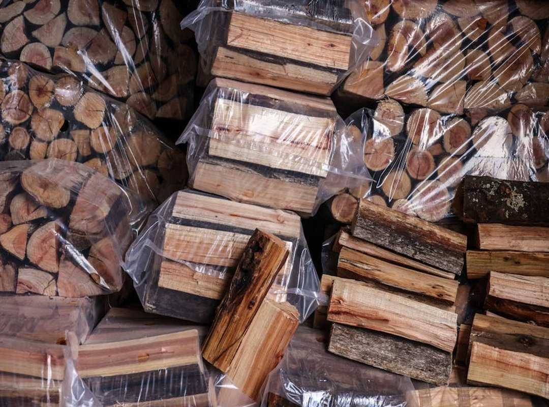 basic wilderness survival tips