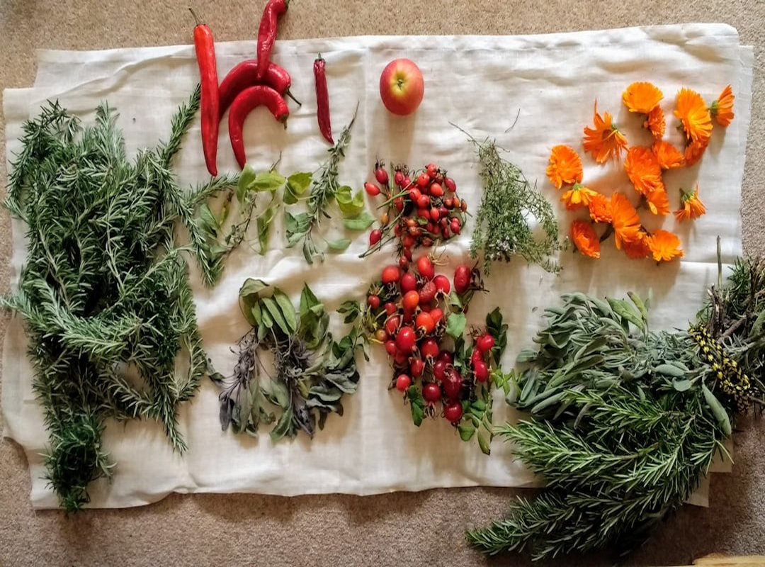 finding food foraging