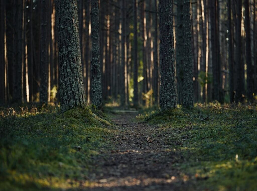 underrated hiking trails